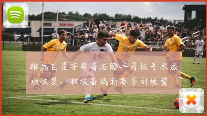 雄鹿巨星字母哥右膝半月板手术成功恢复，积极备战新赛季训练营